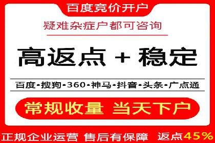 不同领域充值返点模式的差异与共性